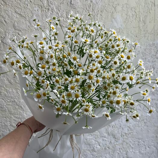 №6 Июньский букет ромашек