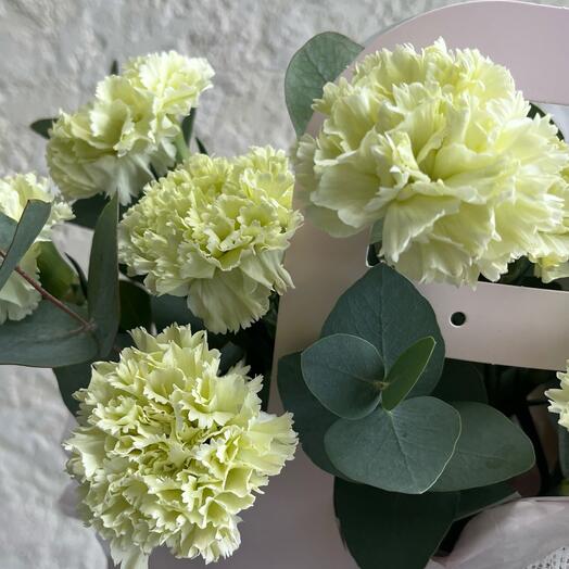 №71 Стойкие, нежные , салатовые диантусы с ароматным эвкалиптом в сумочке «Fresh flower»